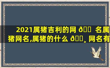 2021属猪吉利的网 🐠 名属猪网名,属猪的什么 🌸 网名有财运和健康